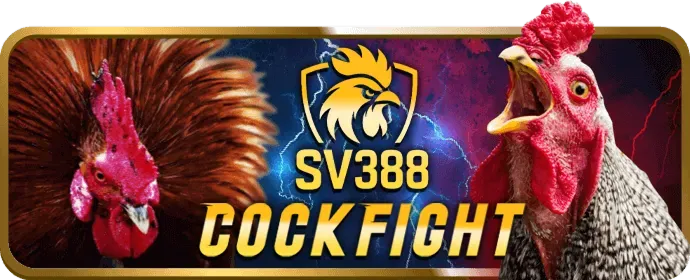 Lựa chọn trò chơi Slot phù hợp tại 888sport